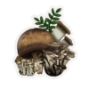 Mushroom Sticker
