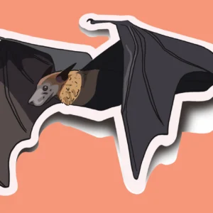 Fruit Bat Sticker