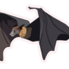 Fruit Bat Sticker