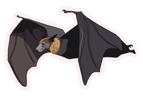 Fruit Bat Sticker